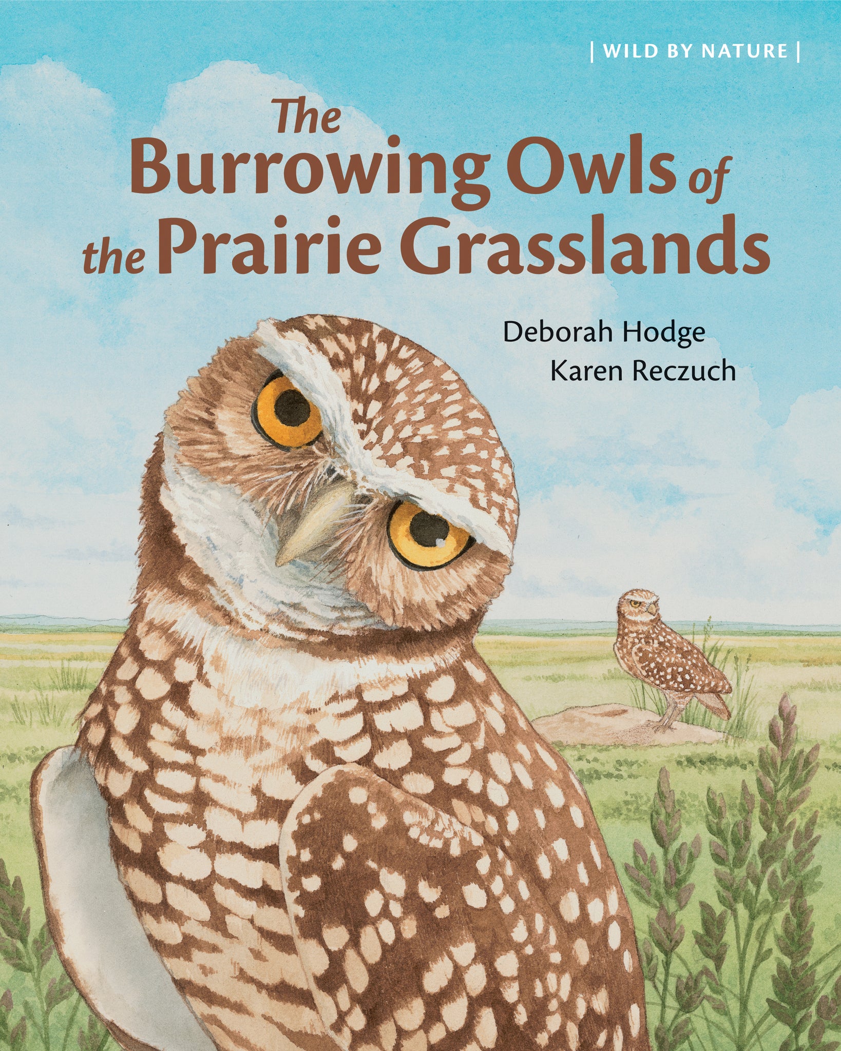 Cover image for The Burrowing Owls of the Prairie Grasslands ISBN 9781779460318