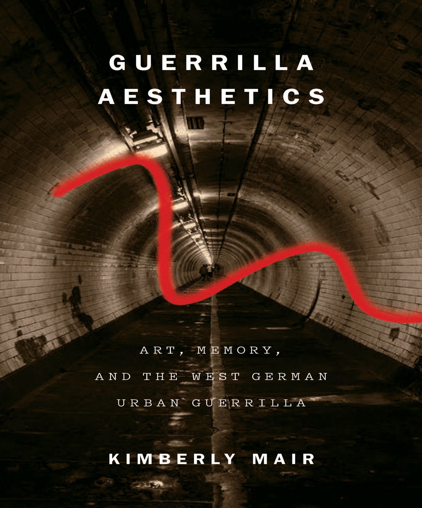 Cover image for Guerrilla Aesthetics ISBN 9780773598744
