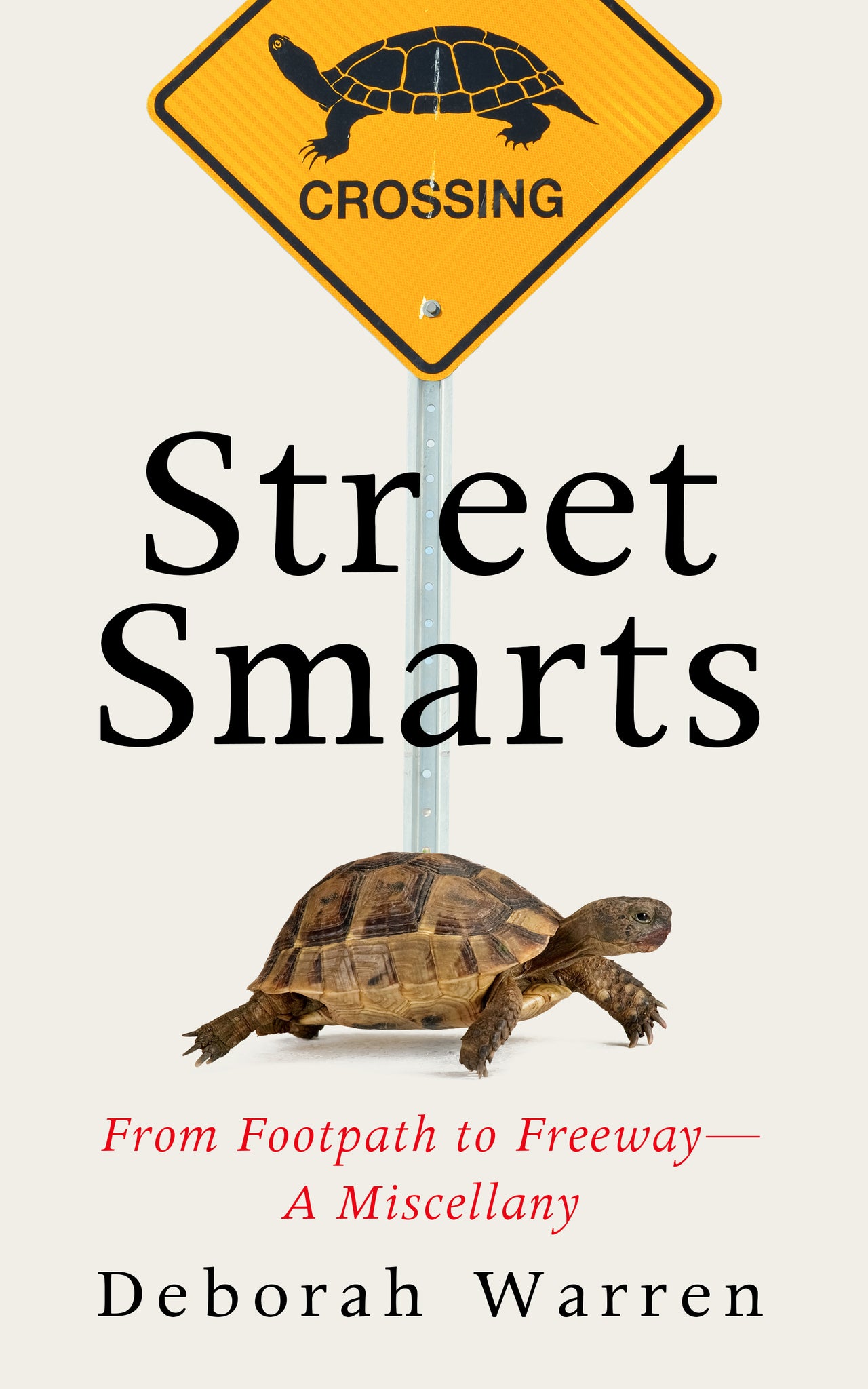 Cover image for Street Smarts ISBN 9781589882119