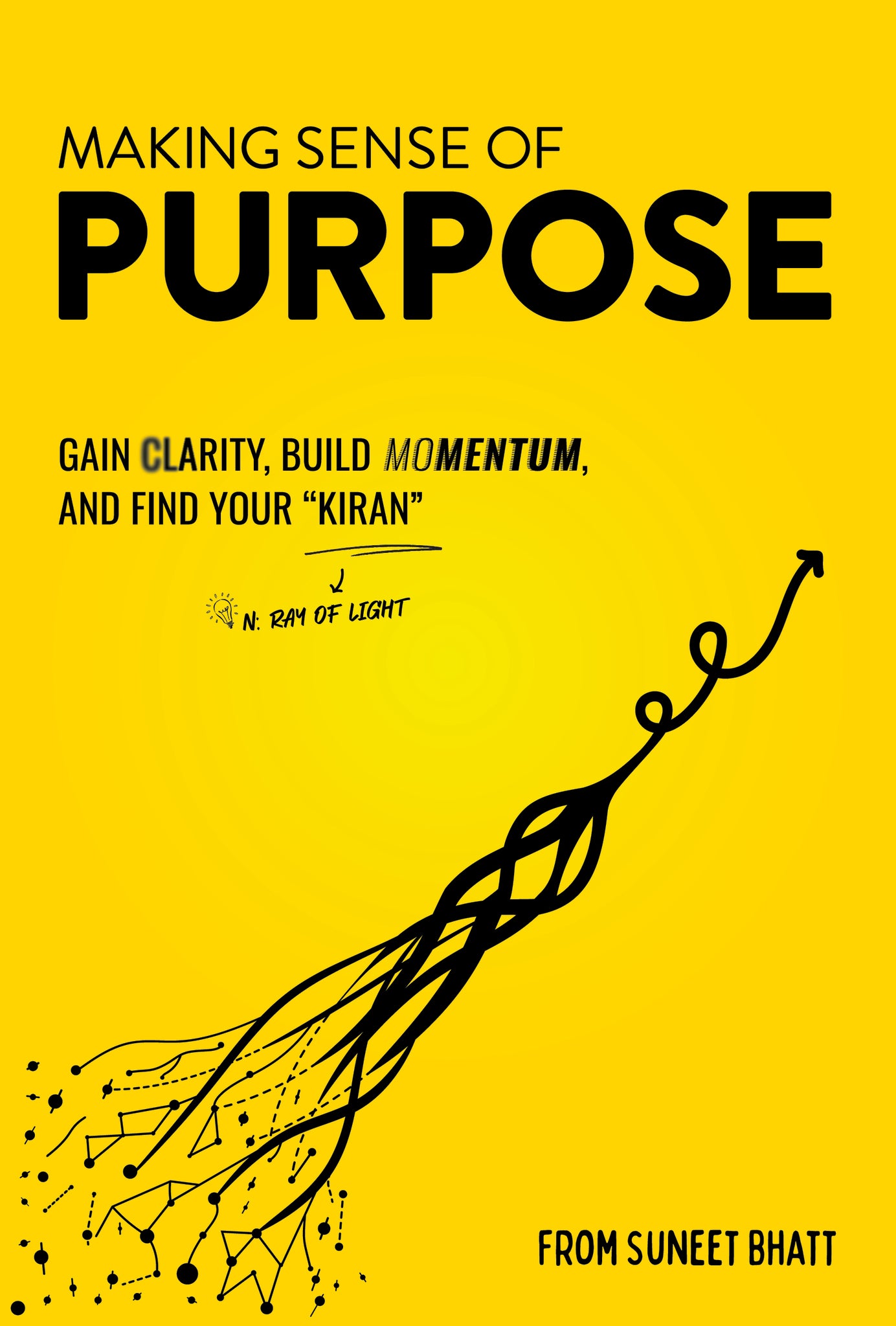 Making Sense of Purpose