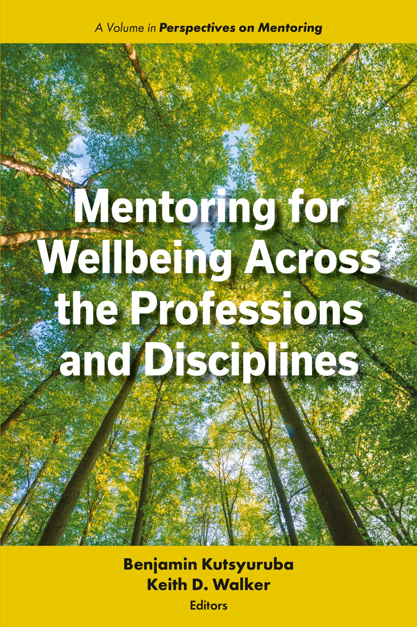 Mentoring for Wellbeing Across the Professions and Disciplines