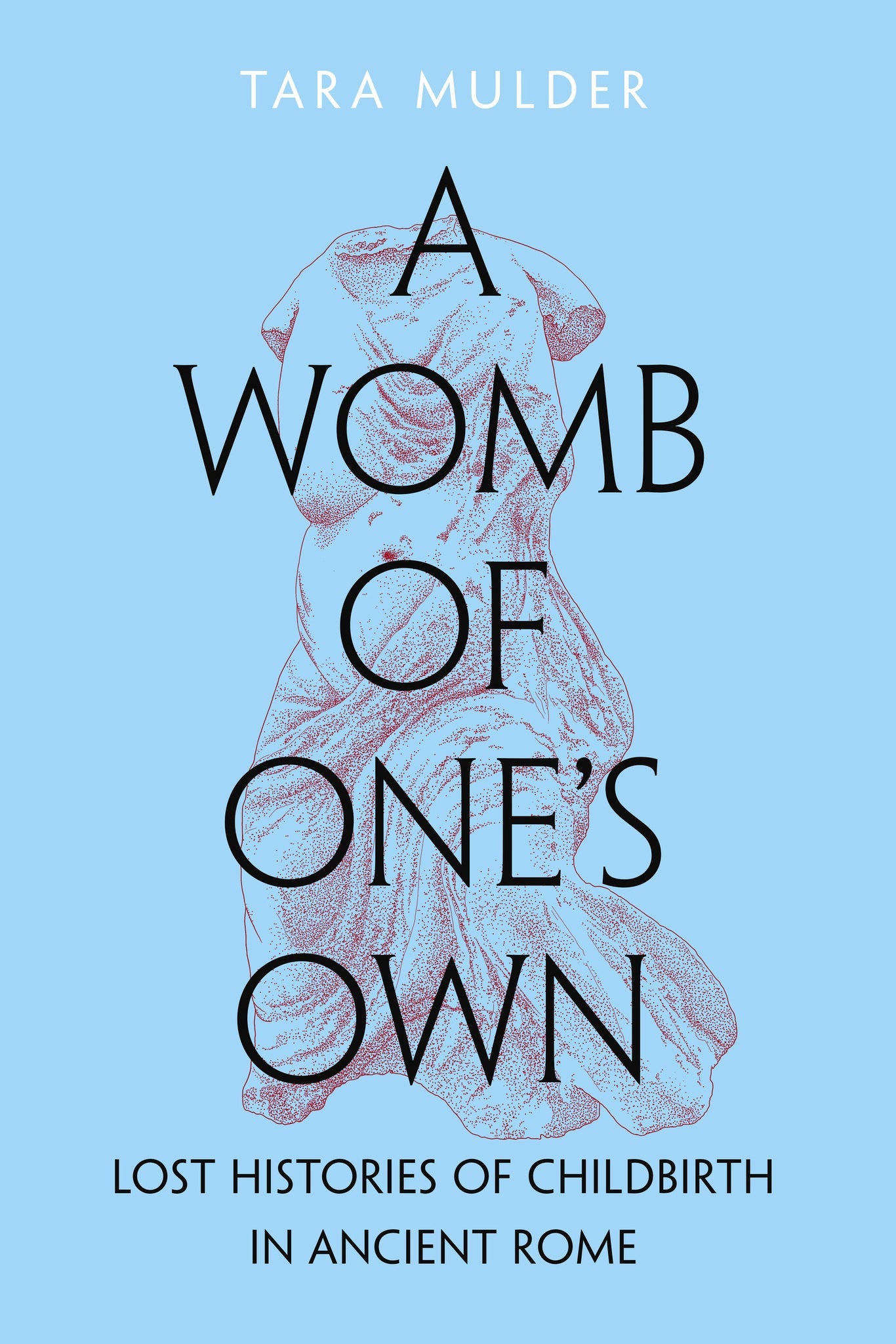 Cover image for A Womb of One's Own ISBN 9780520398757