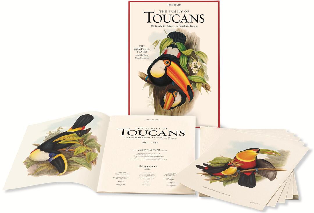 Cover image for John Gould: The Family of Toucans ISBN 9783836505246