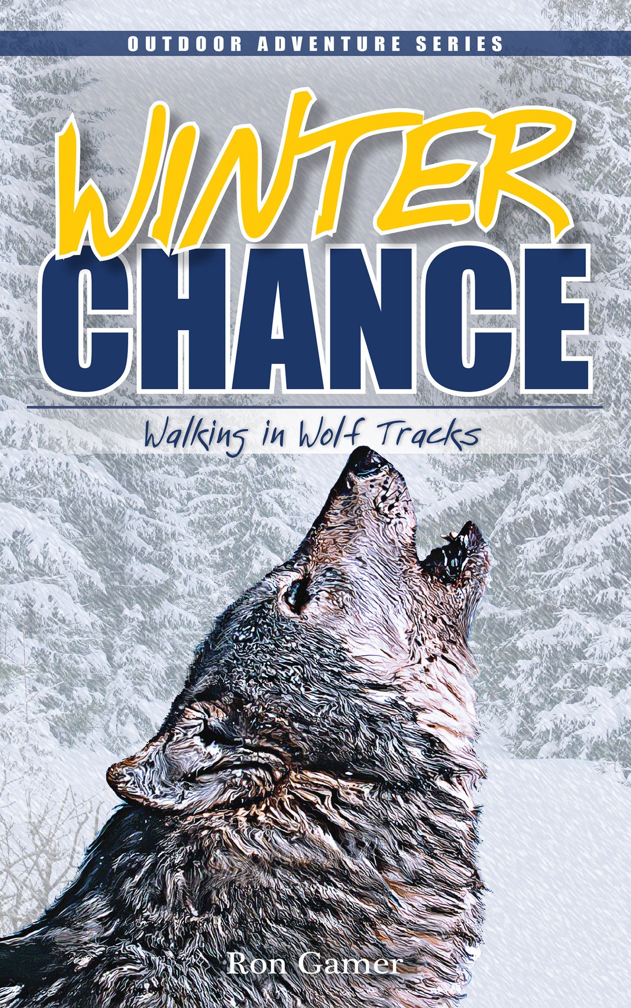 Cover image for Winter Chance ISBN 9781591933366