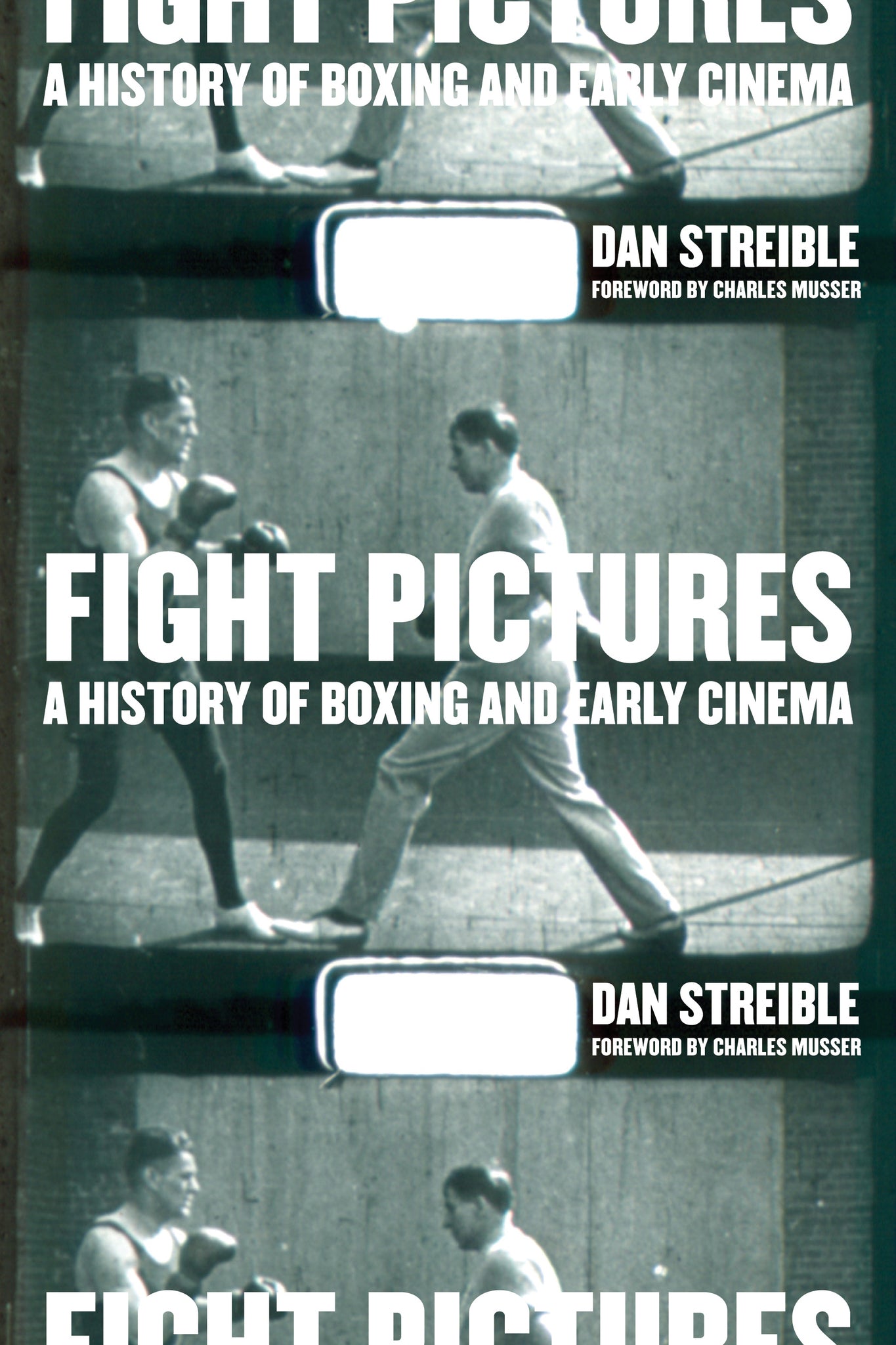 Cover image for Fight Pictures ISBN 9780520940581