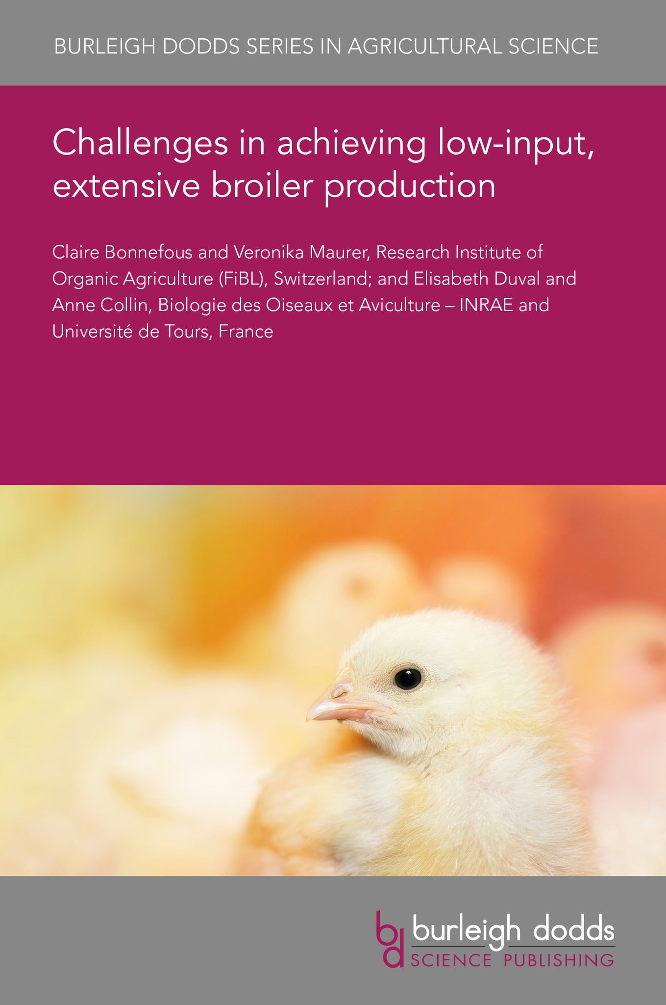 Challenges in achieving low-input, extensive broiler production