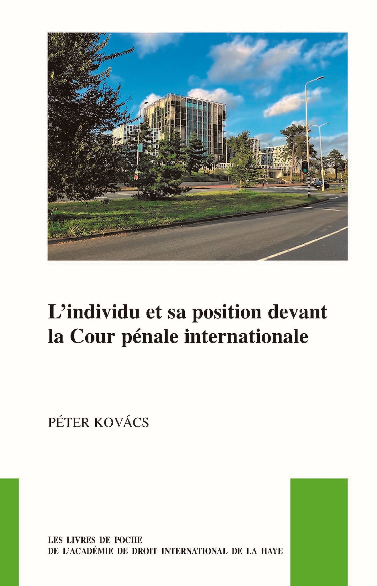 L’individu et sa position devant la Cour pénale internationale