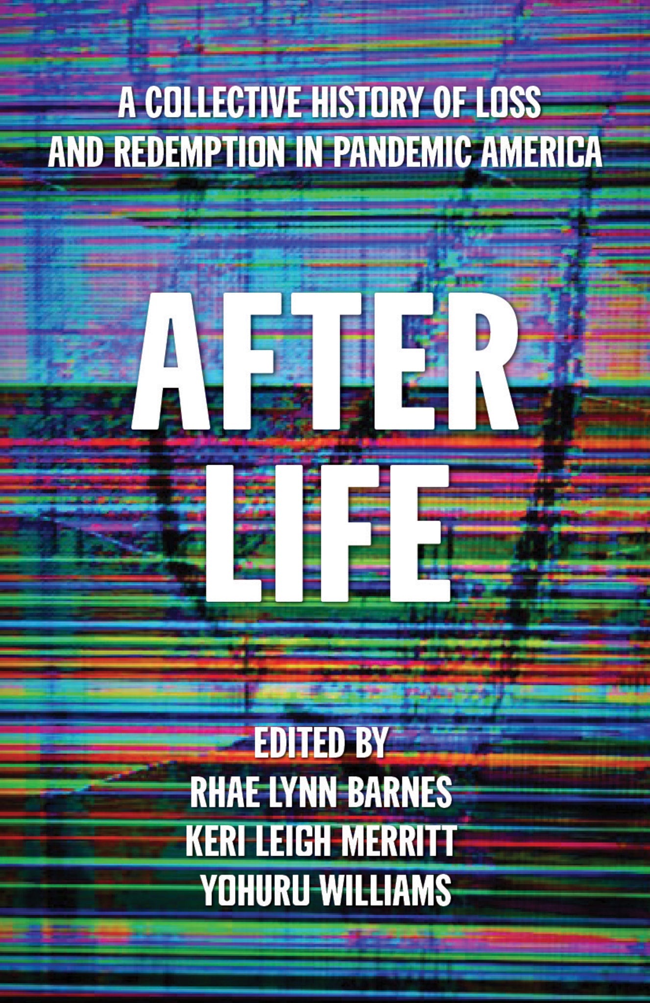 Cover image for After Life ISBN 9781642598759