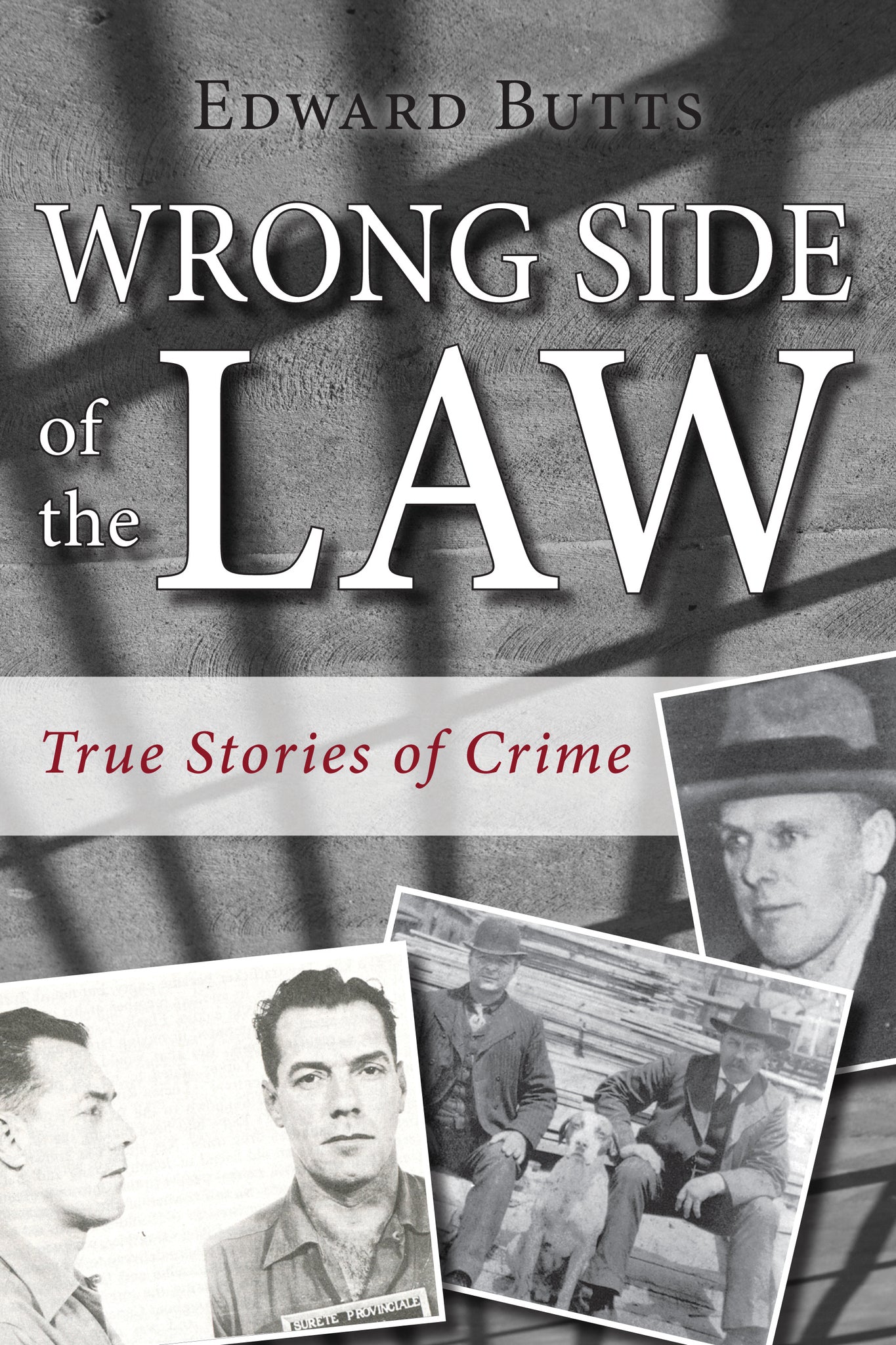 Cover image for Wrong Side of the Law ISBN 9781459709522