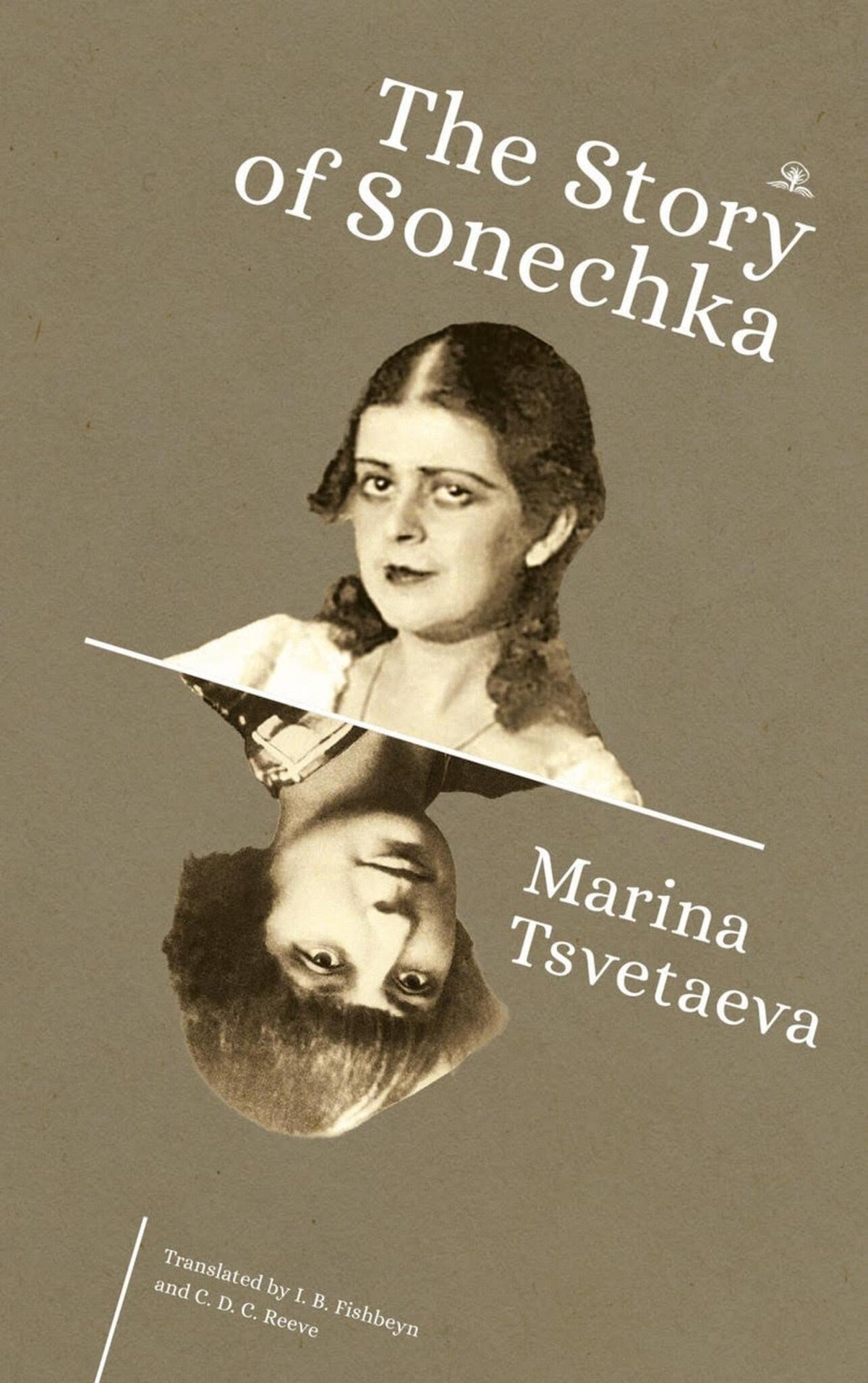 Cover image for The Story of Sonechka ISBN 9798887198057