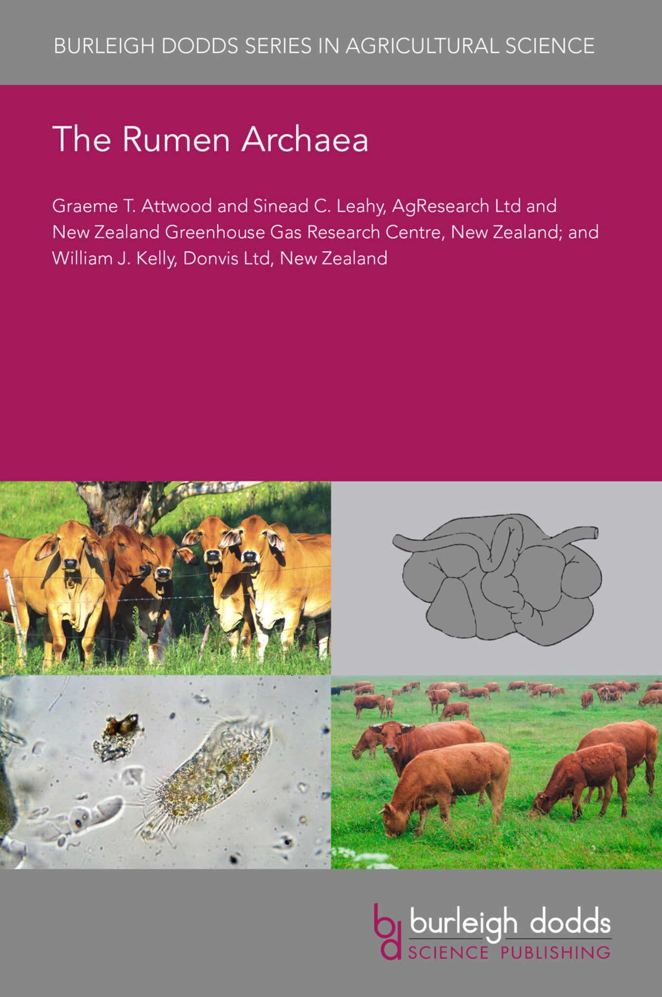 Cover image for The Rumen Archaea ISBN 9781786767967