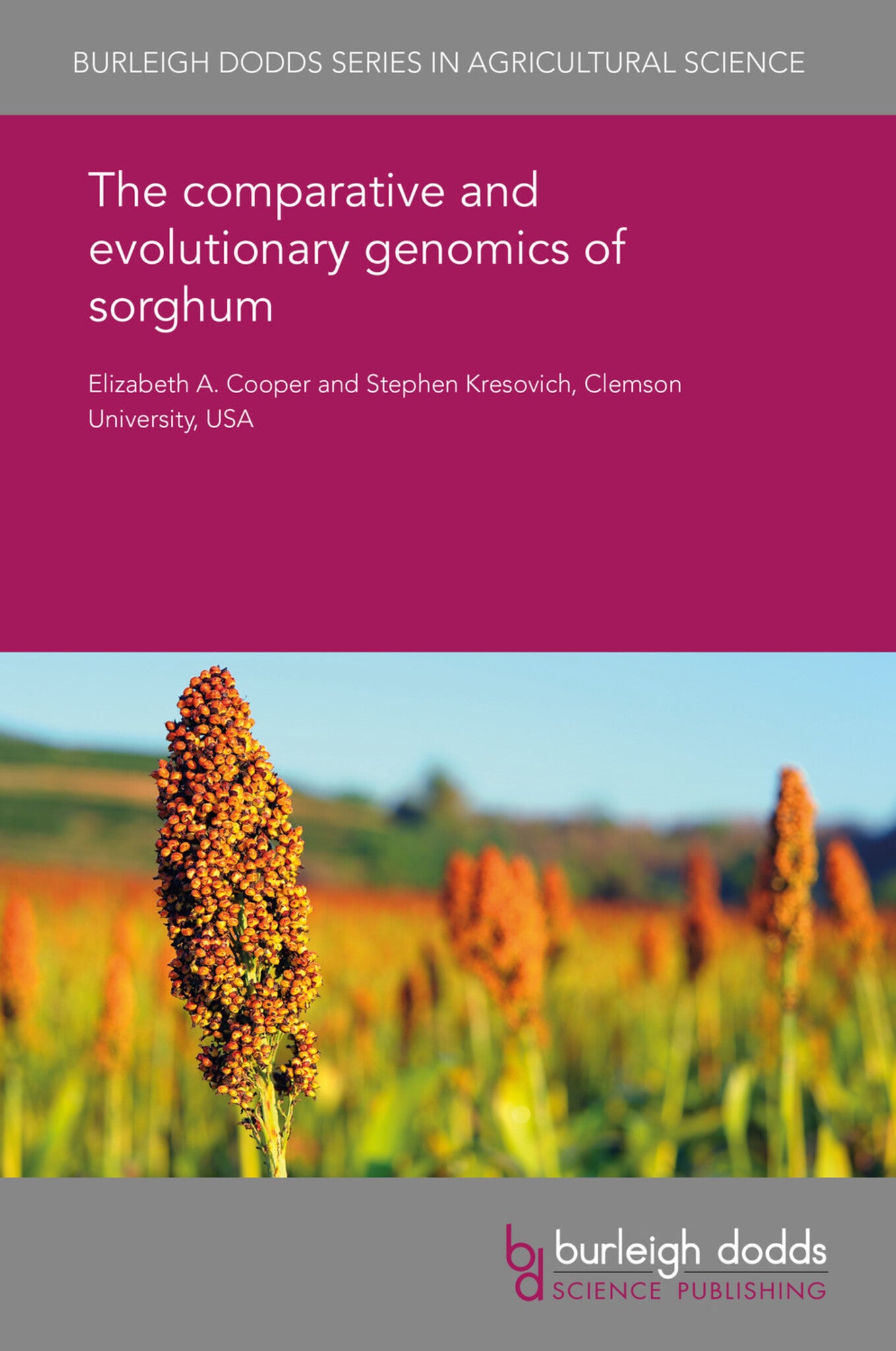 Cover image for The comparative and evolutionary genomics of sorghum ISBN 9781838795313