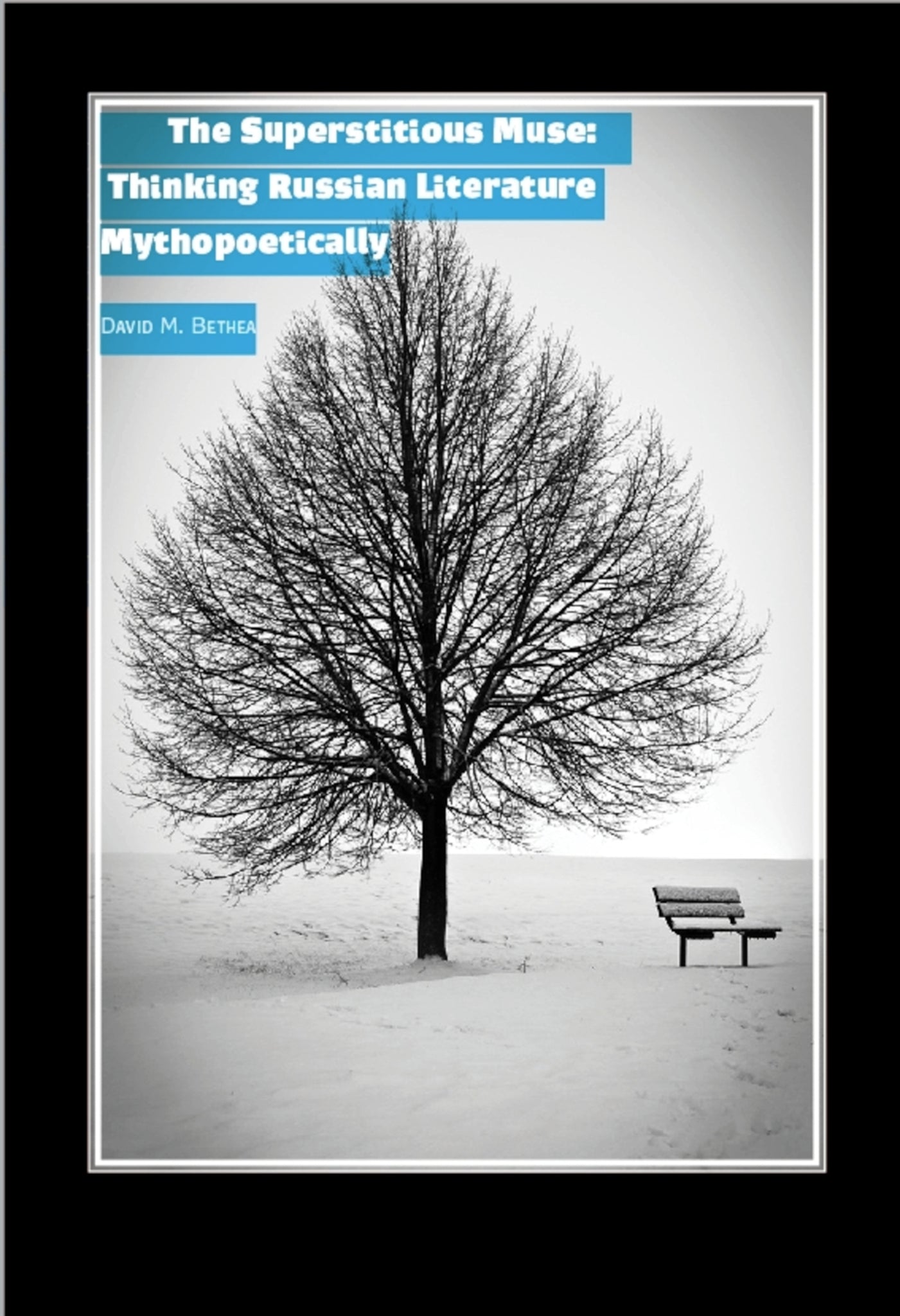 Cover image for The Superstitious Muse ISBN 9781618118127
