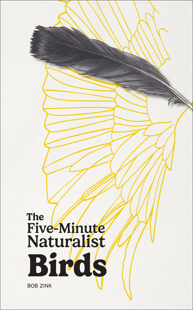 Cover image for Five-Minute Naturalist: Birds ISBN 9781647556020