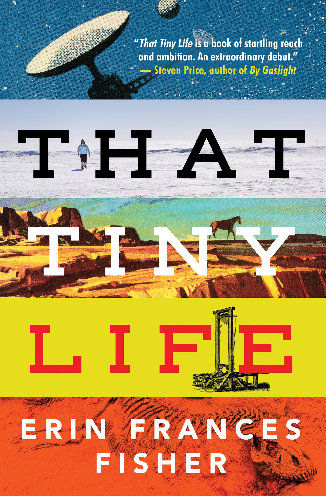 Cover image for That Tiny Life ISBN 9781487003661