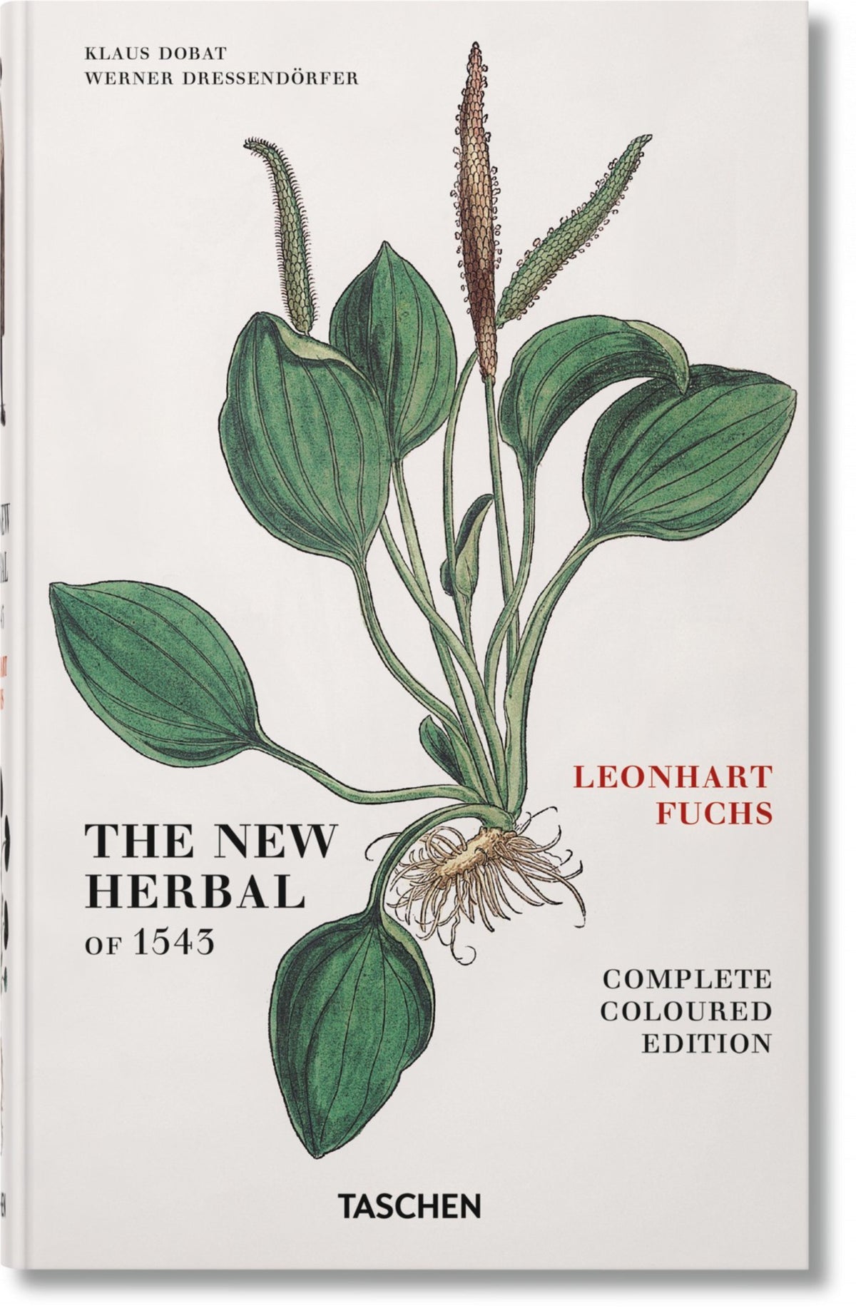 Cover image for Leonhart Fuchs. Le Nouvel Herbier de 1543 ISBN 9783836537919