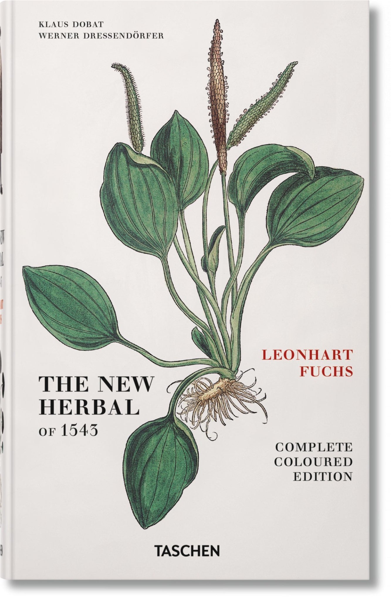 Cover image for Leonhart Fuchs. Le Nouvel Herbier de 1543 ISBN 9783836537919