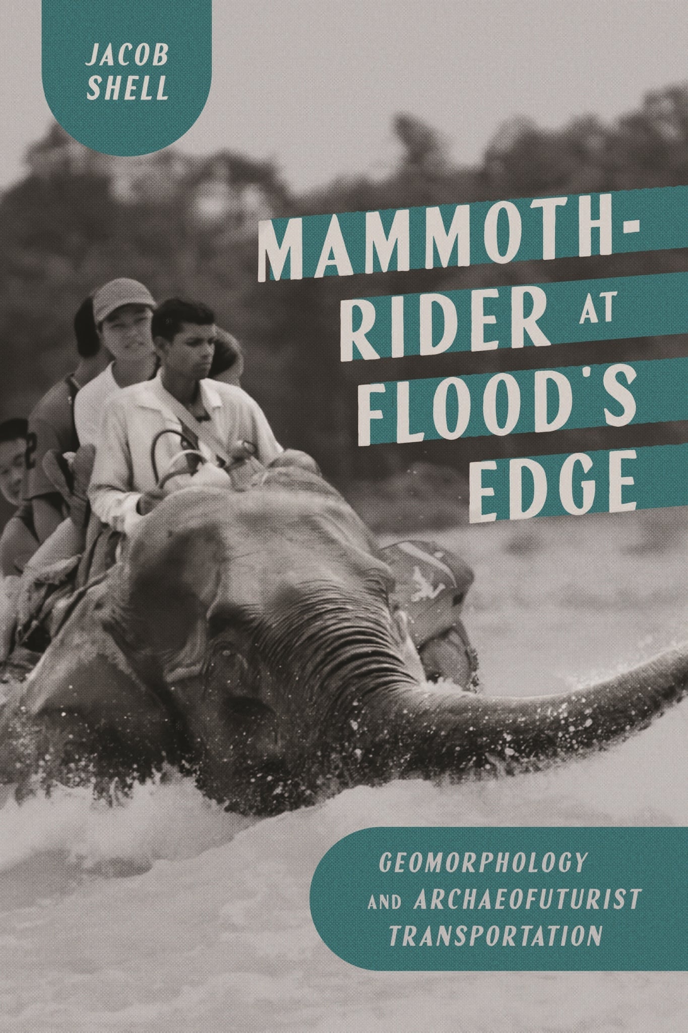 Cover image for Mammoth-Rider at Flood’s Edge: ISBN 9780228030607