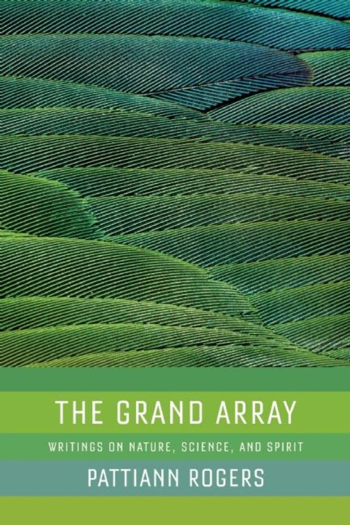 Cover image for The Grand Array ISBN 9781595341334