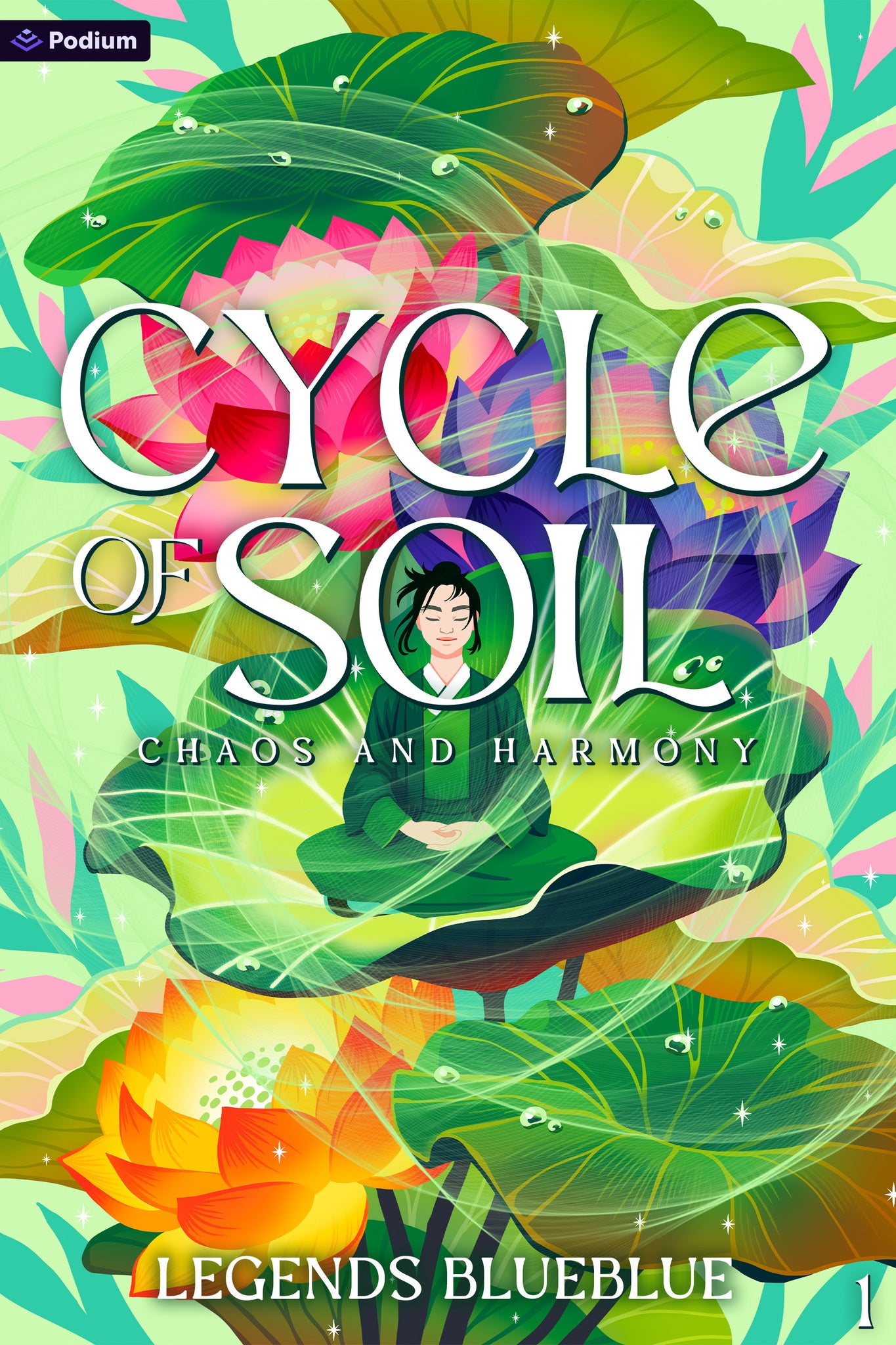 Cover image for Chaos and Harmony ISBN 9798347037360
