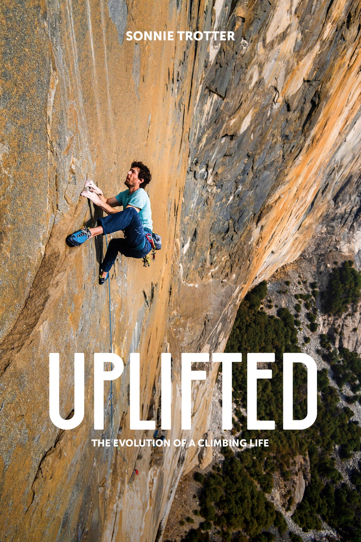 Cover image for Uplifted ISBN 