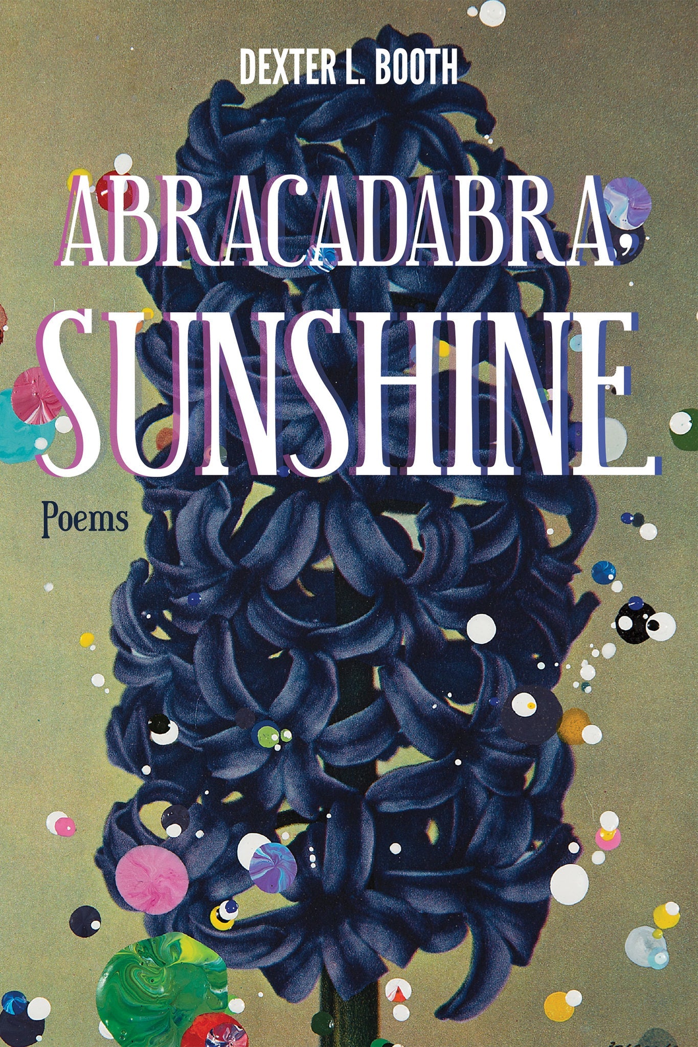 Cover image for Abracadabra, Sunshine ISBN 9781597092128