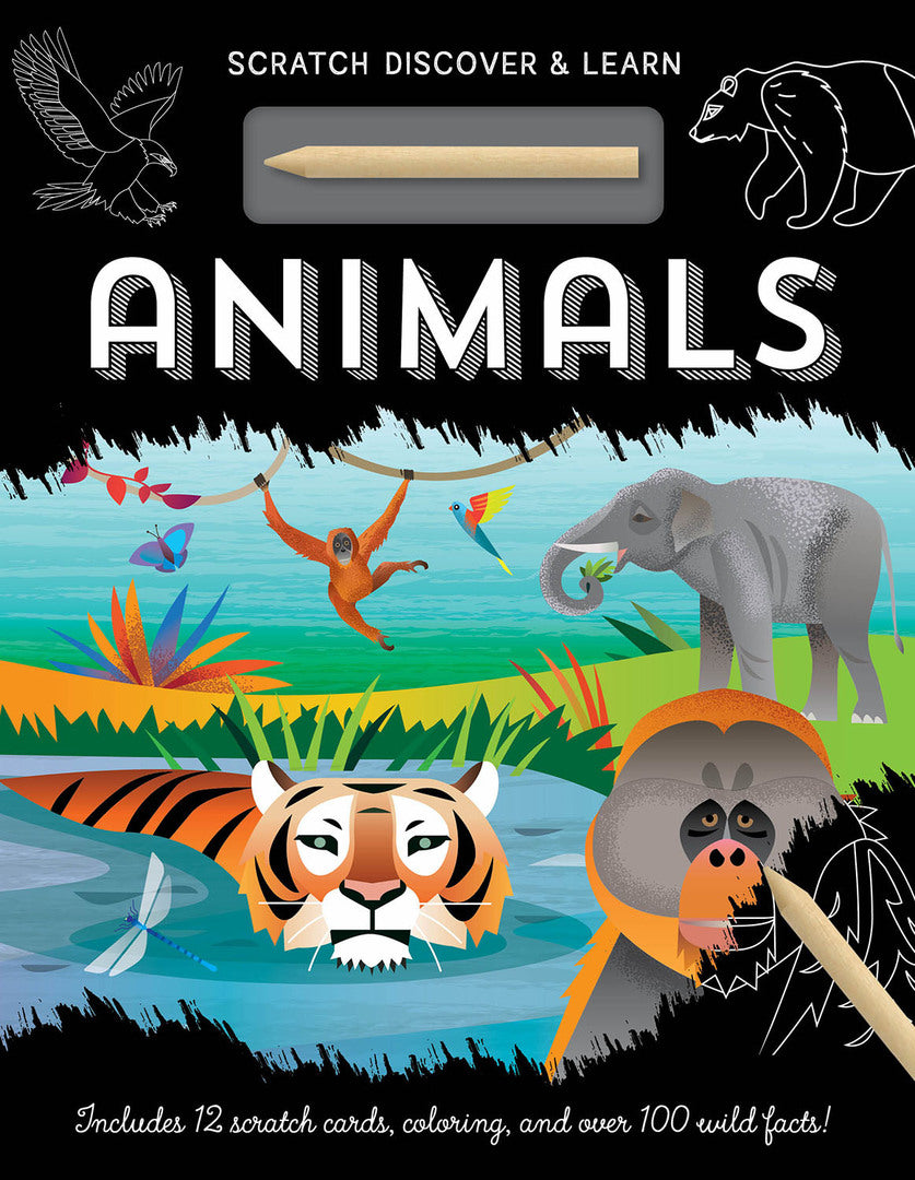 Cover image for Animals ISBN 9781801051323