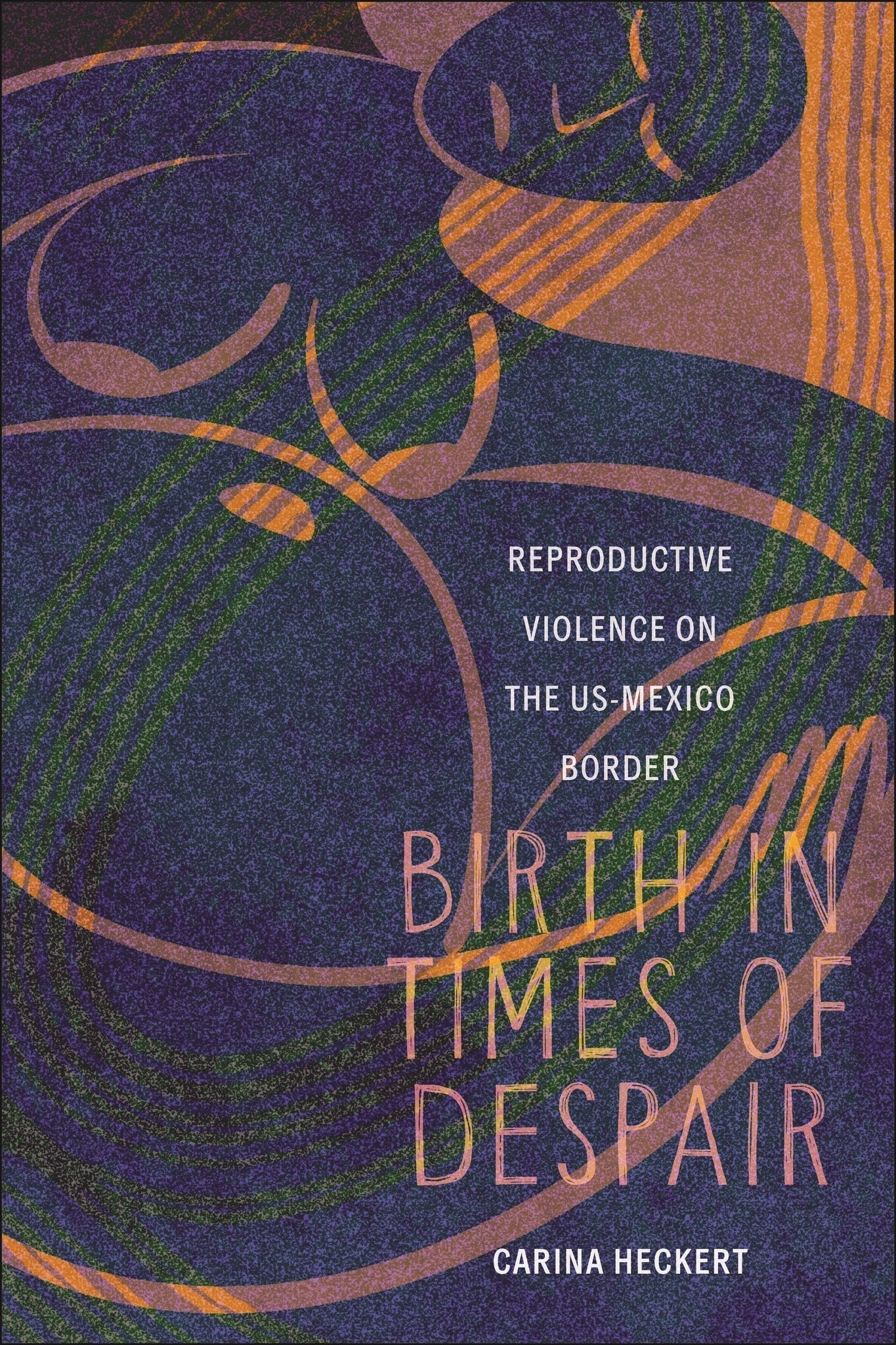 Cover image for Birth in Times of Despair ISBN 9781479832064