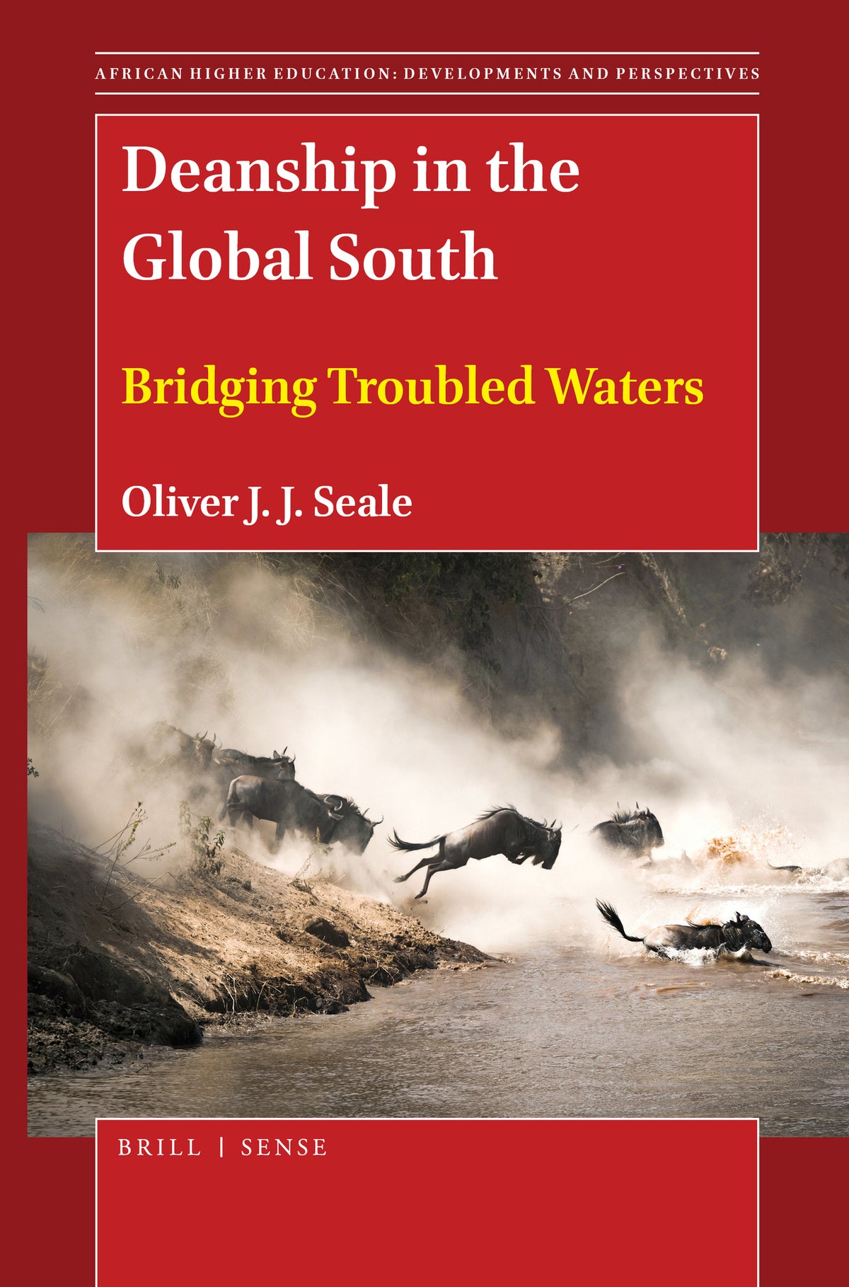 Cover image for Deanship in the Global South ISBN 9789004459854