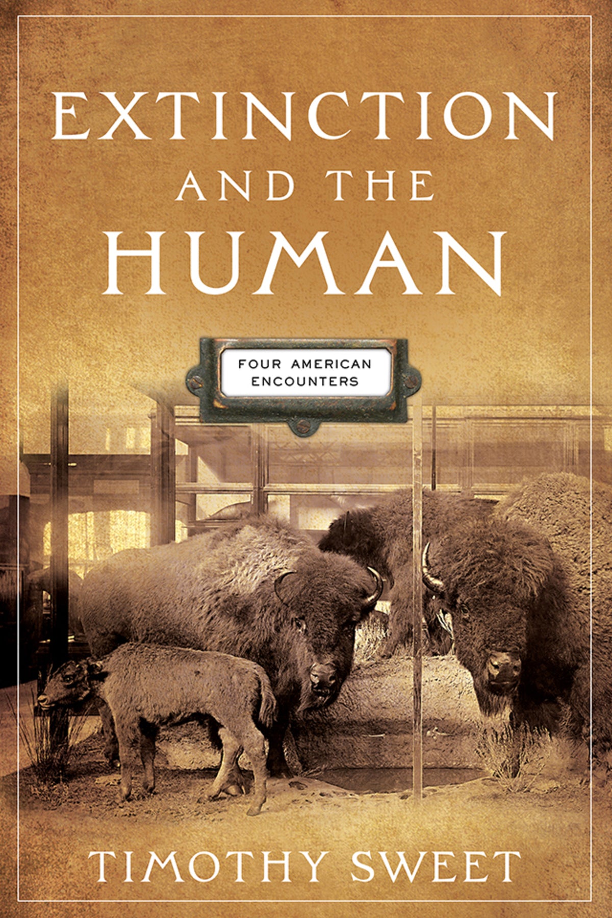Cover image for Extinction and the Human ISBN 9780812253429