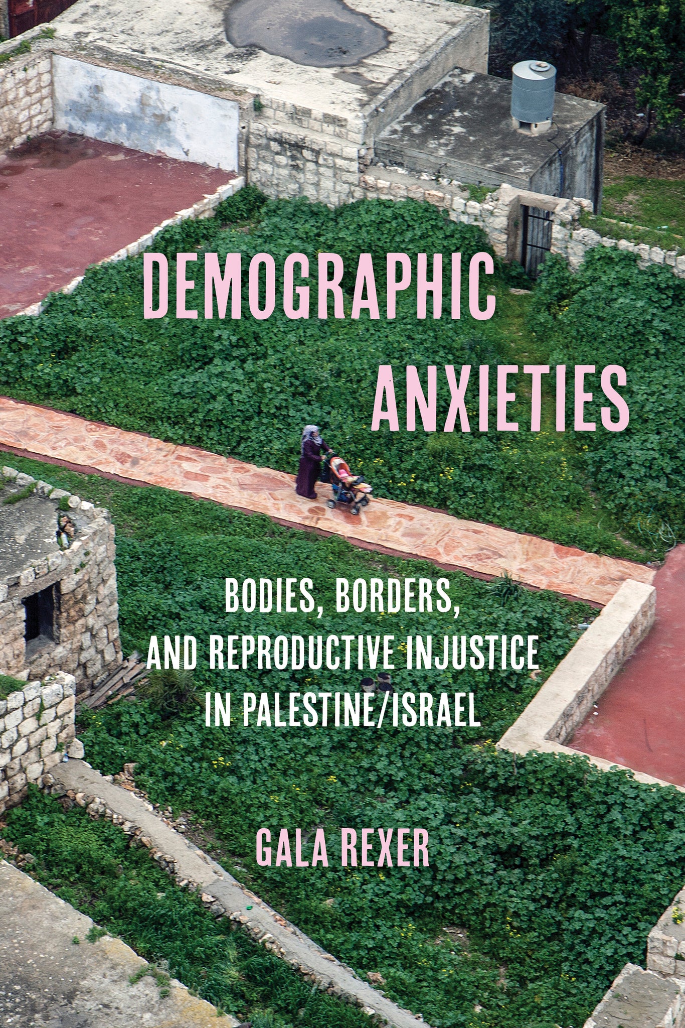 Demographic Anxieties