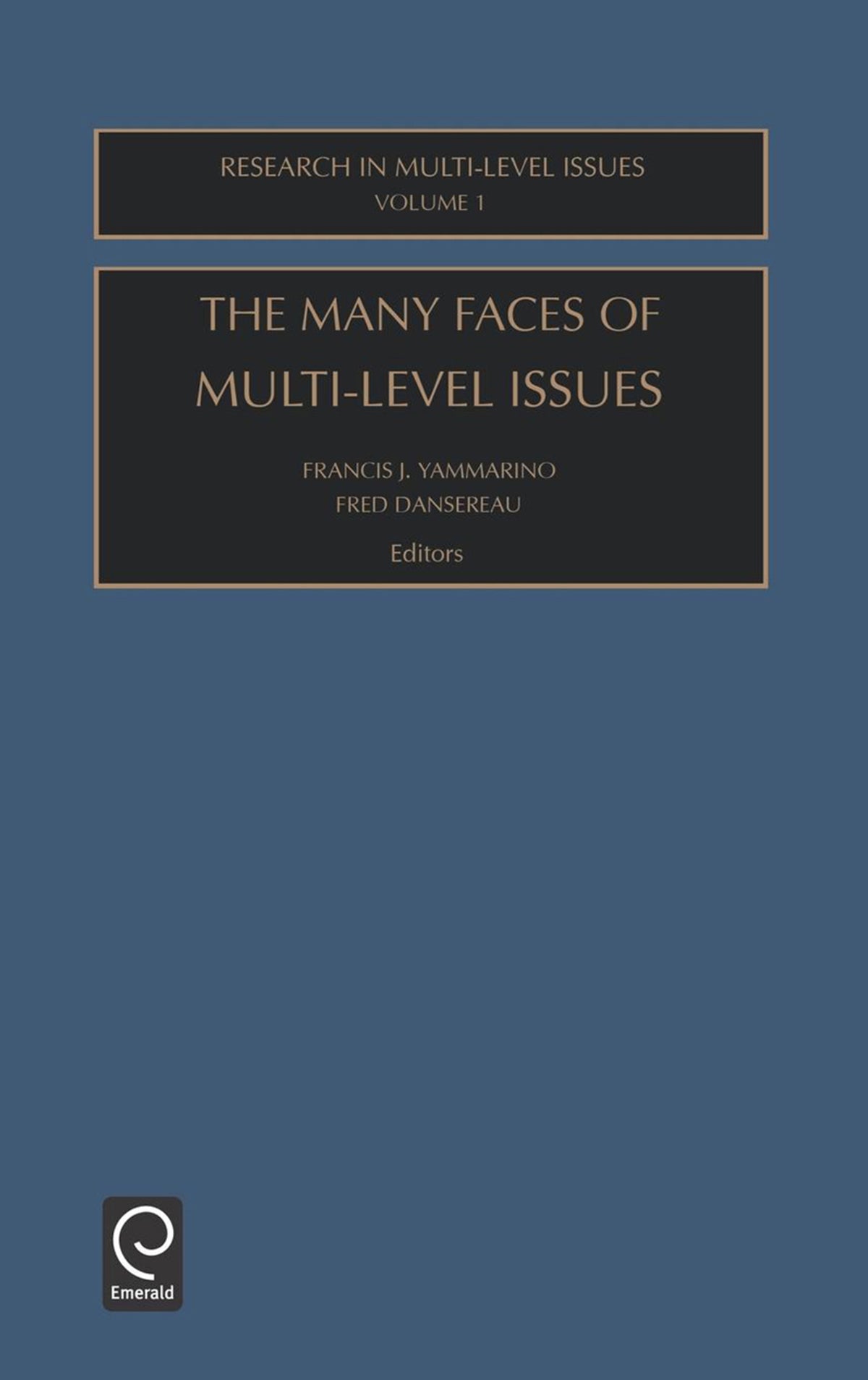 Cover image for The Many Faces Of Multi-Level Issues ISBN 9780762308057