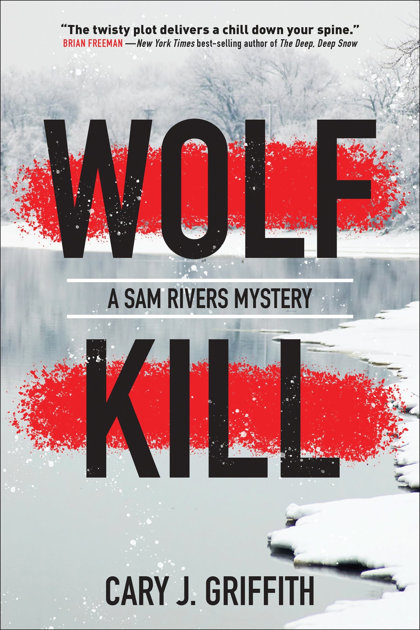 Cover image for Wolf Kill ISBN 9781647550561