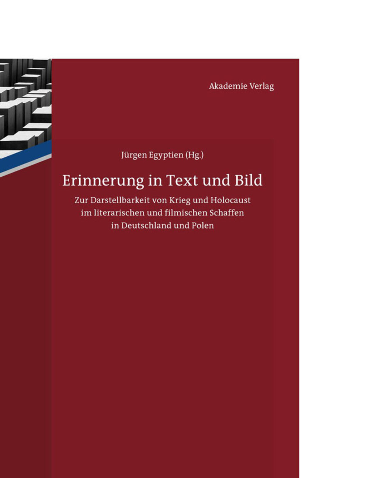 Cover image for Erinnerung in Text und Bild ISBN 9783050057224