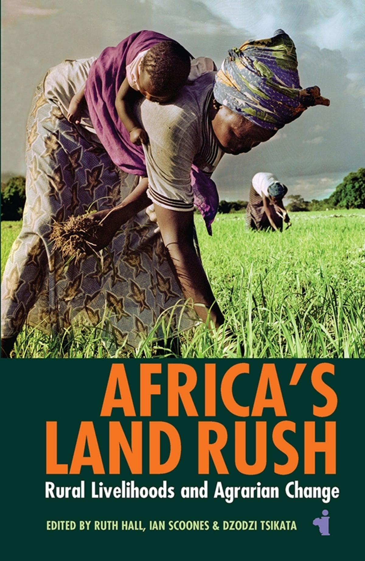 Cover image for Africa's Land Rush ISBN 9781847011305