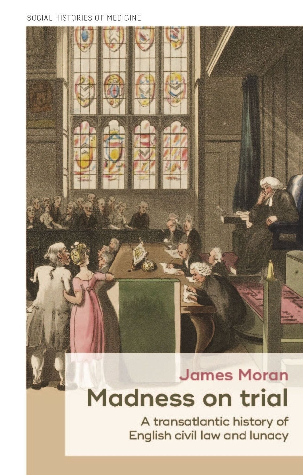 Cover image for Madness on trial ISBN 9781526163790