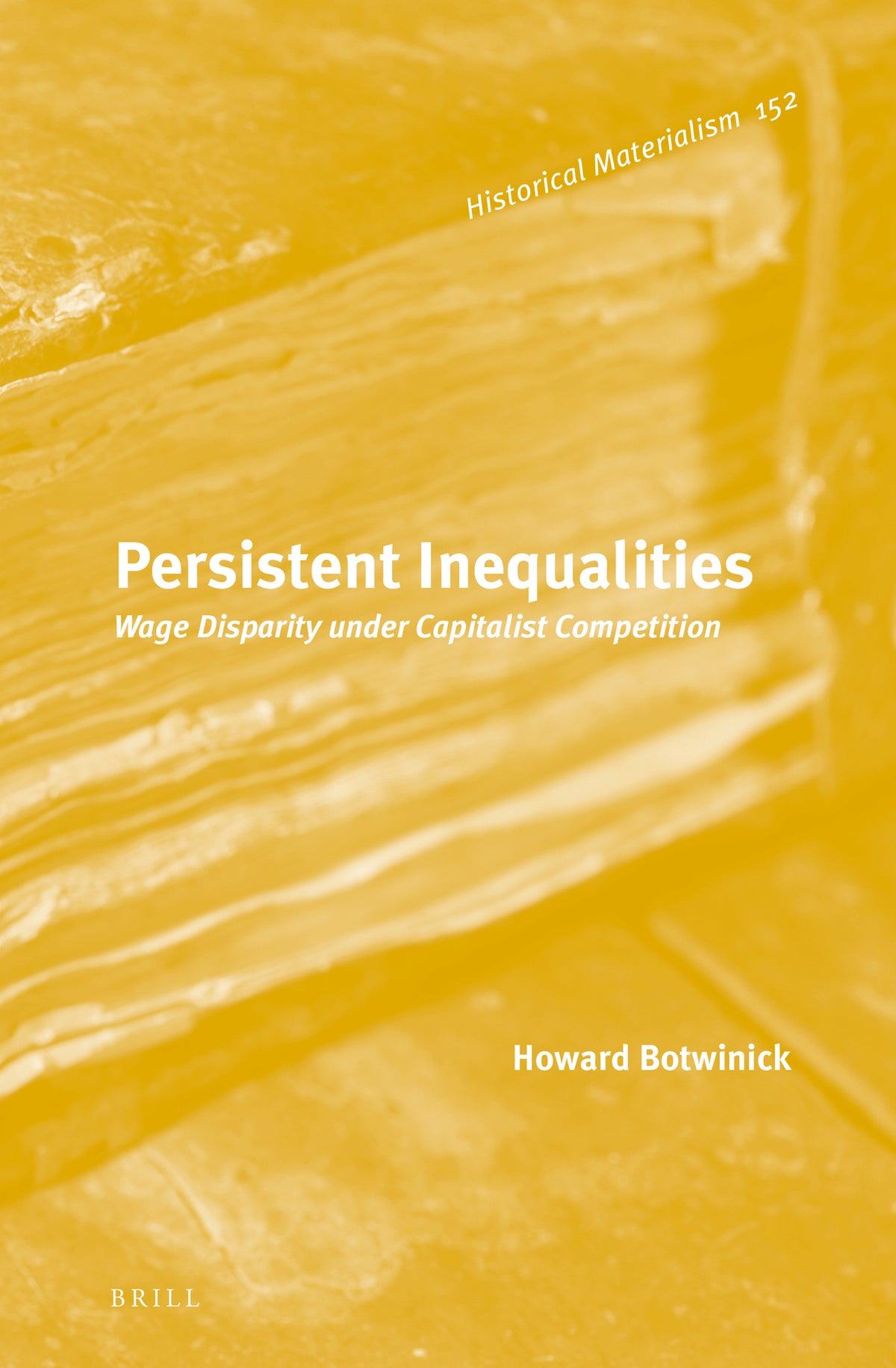 Cover image for Persistent Inequalities ISBN 9789004269583