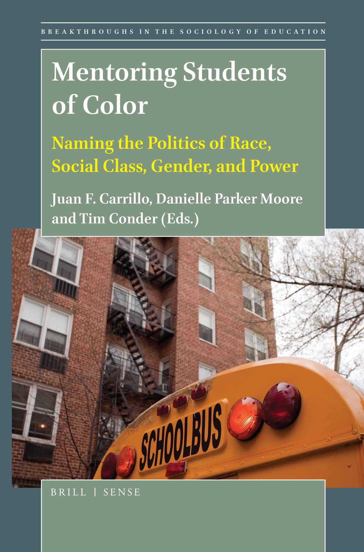 Cover image for Mentoring Students of Color ISBN 9789004407961