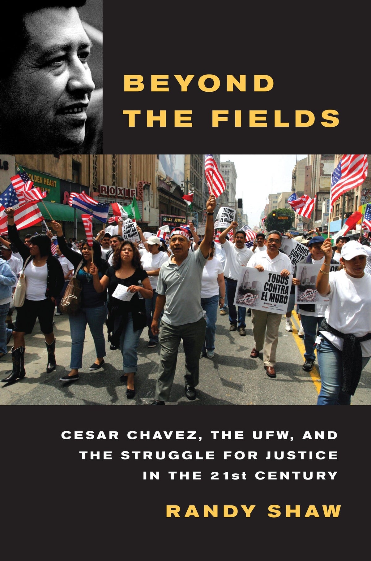 Cover image for Beyond the Fields ISBN 9780520942240