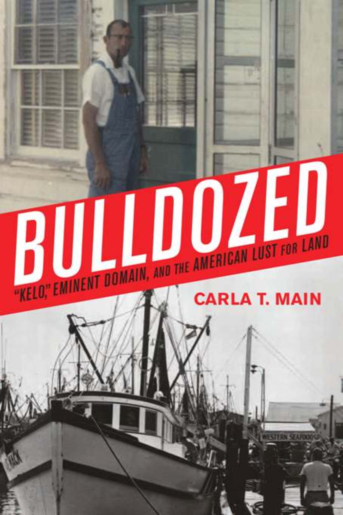 Cover image for Bulldozed ISBN 9781594031939