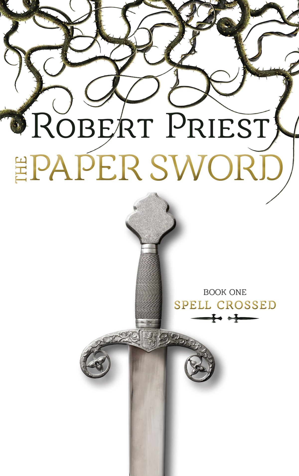 Cover image for The Paper Sword ISBN 9781459708266