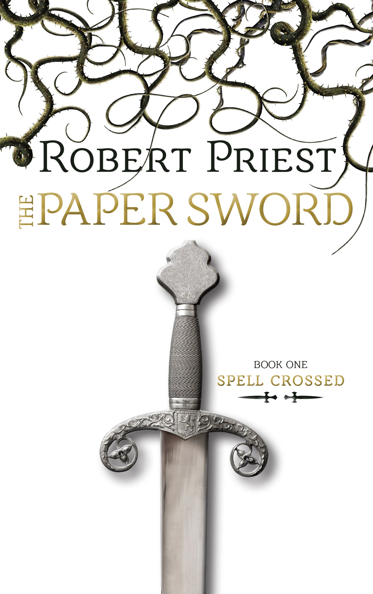 Cover image for The Paper Sword ISBN 9781459708266
