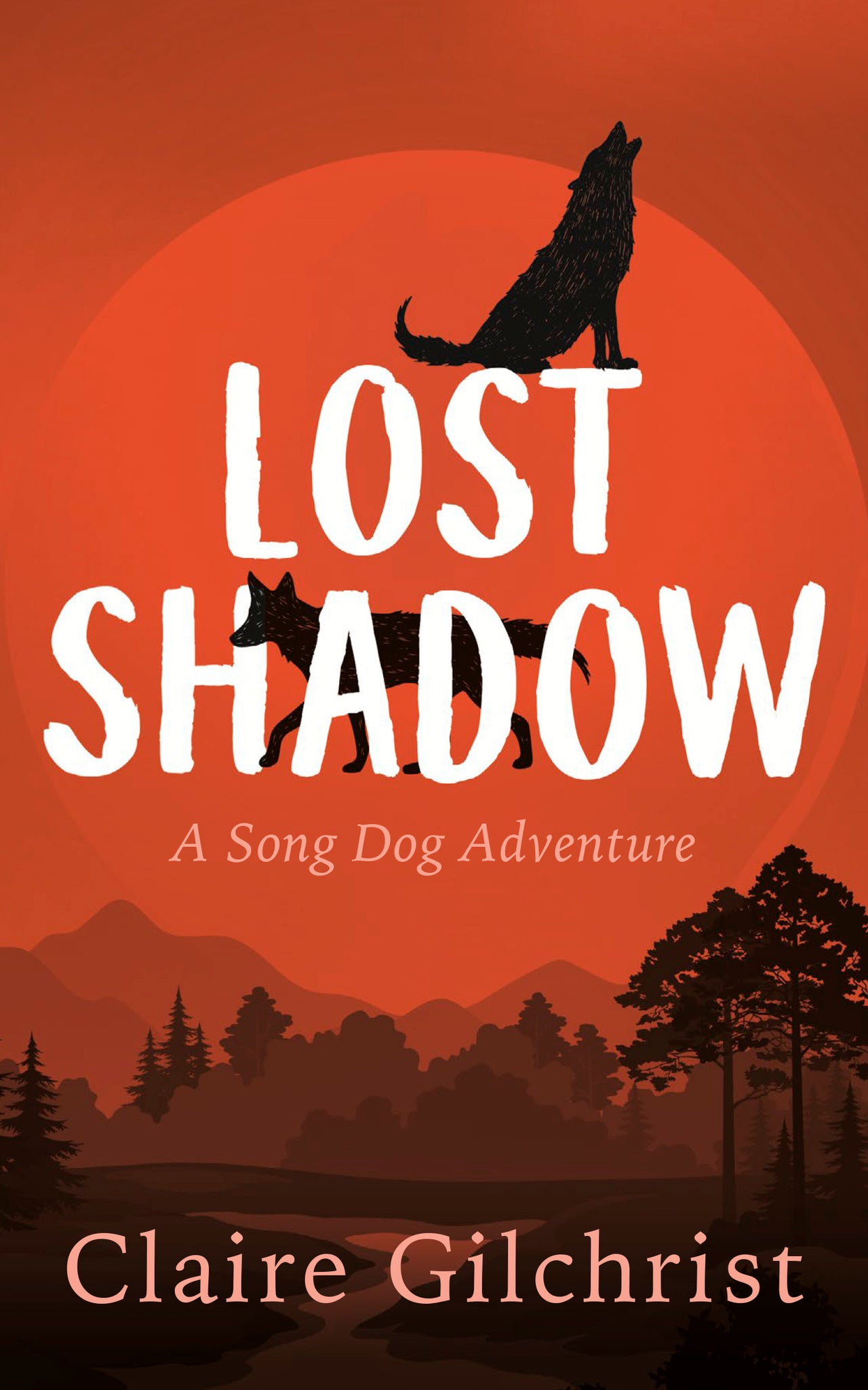 Cover image for Lost Shadow ISBN 9781459748255