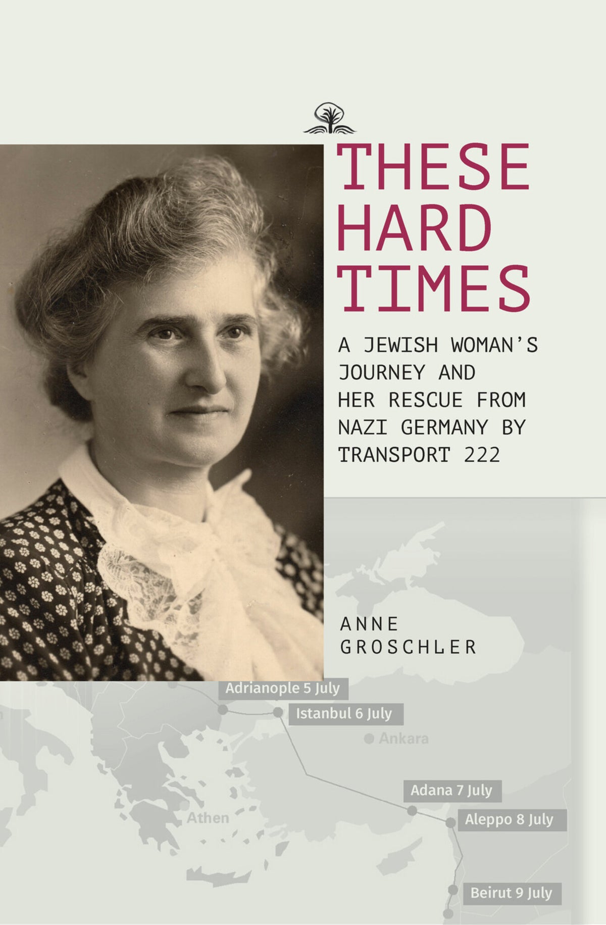 Cover image for These Hard Times ISBN 9781644699089