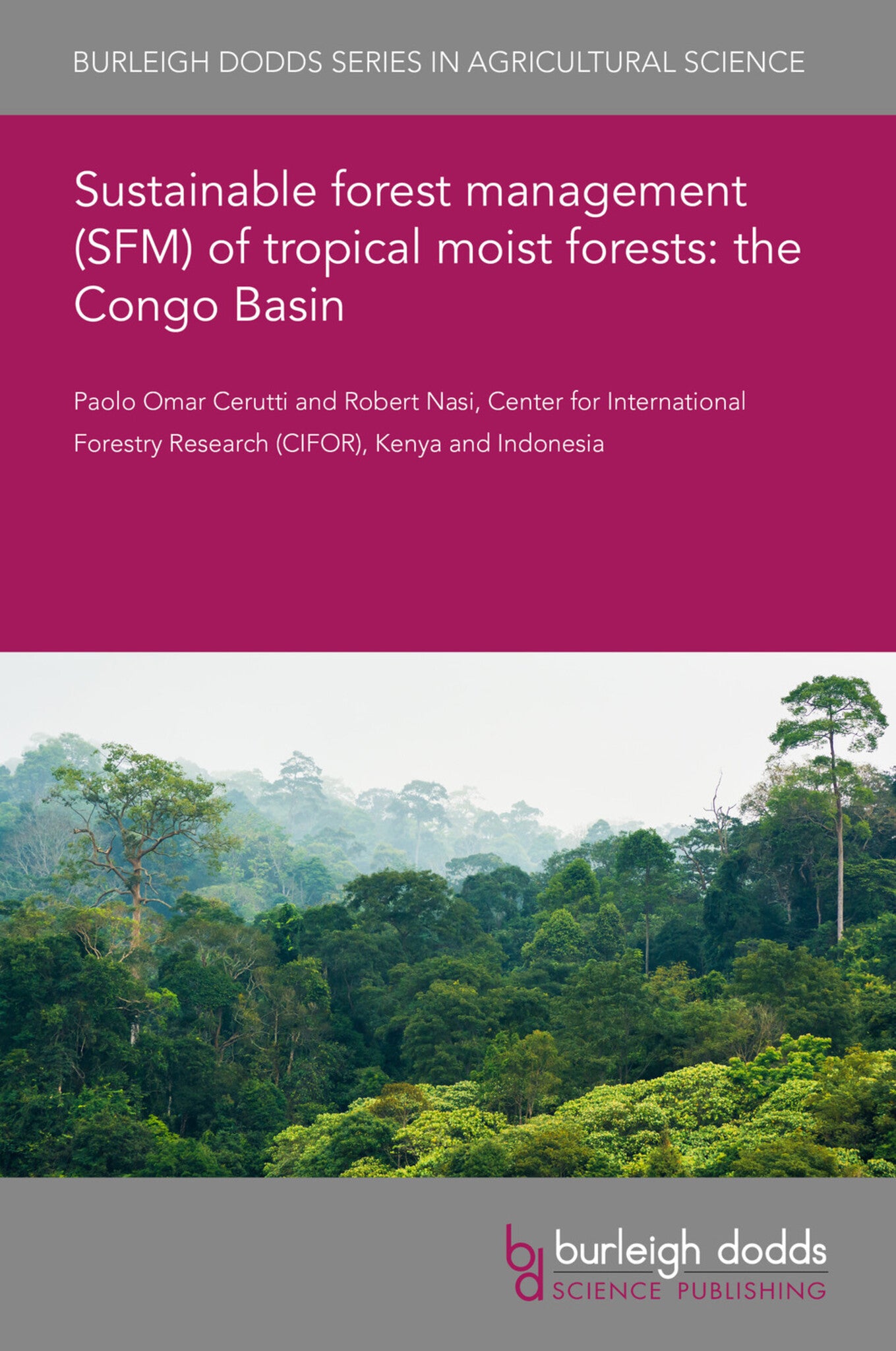 Cover image for Sustainable forest management (SFM) of tropical moist forests: the Congo Basin ISBN 9781786766007
