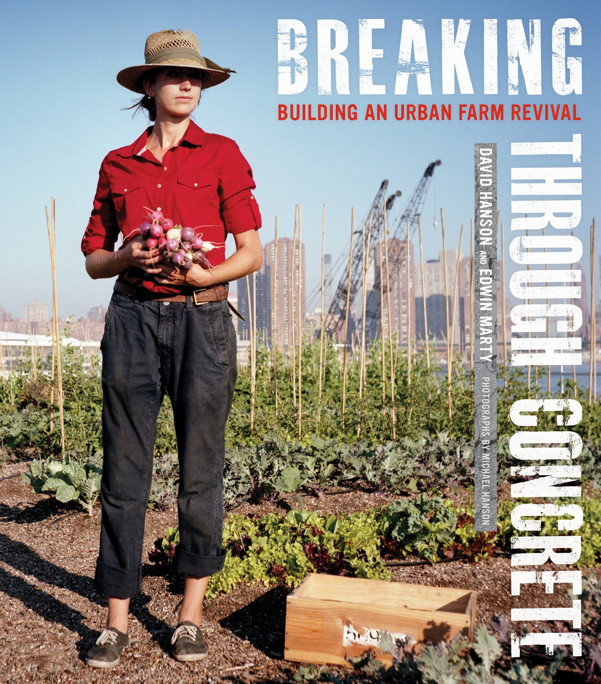 Cover image for Breaking Through Concrete ISBN 9780520949713