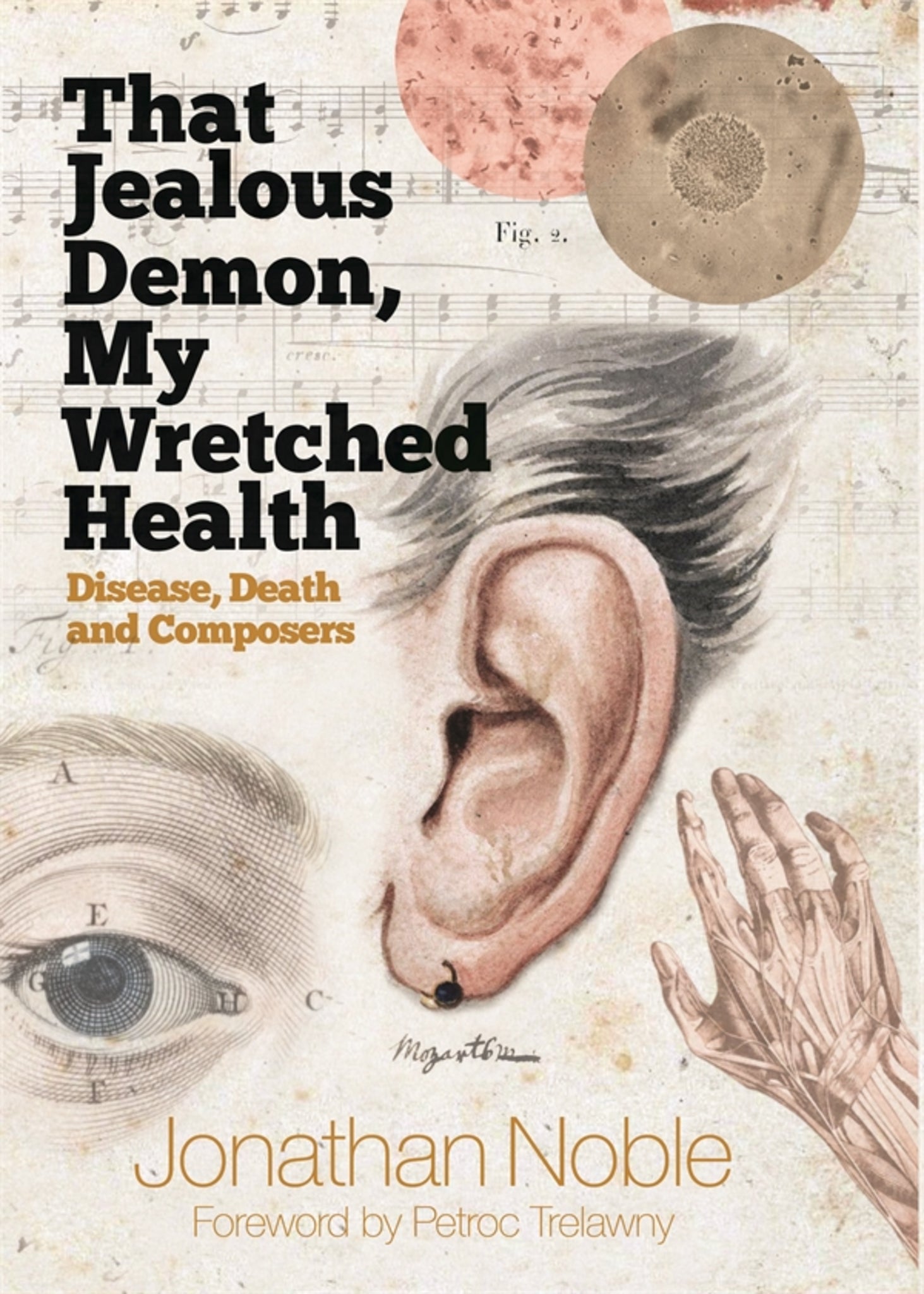 Cover image for That Jealous Demon, My Wretched Health ISBN 9781783272587