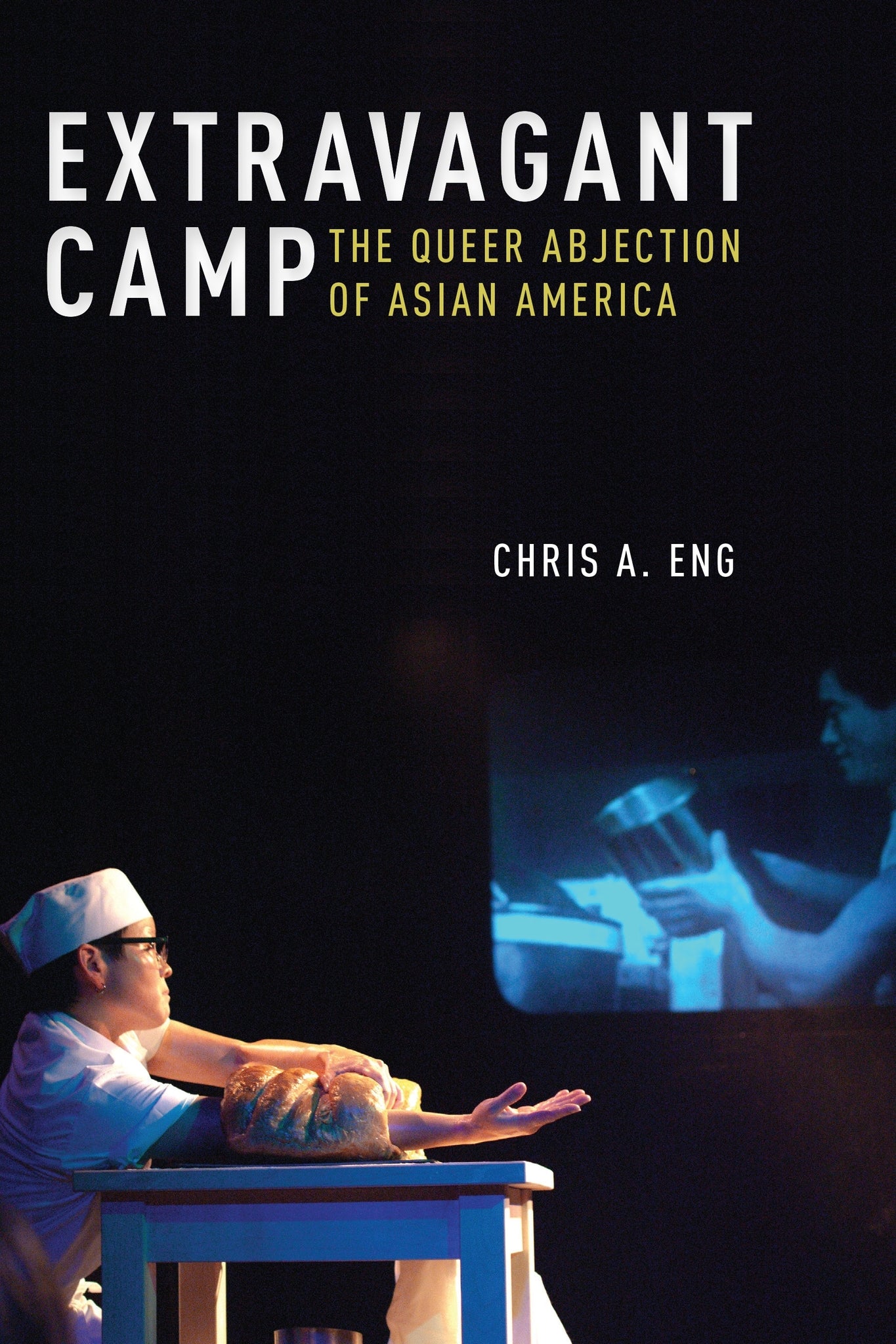 Cover image for Extravagant Camp ISBN 9781479834655