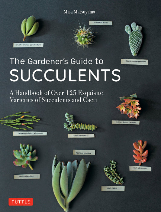 Gardener's Guide to Succulents