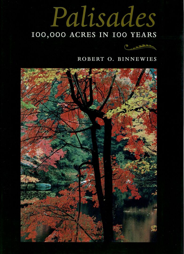 Cover image for Palisades ISBN 9780823221288